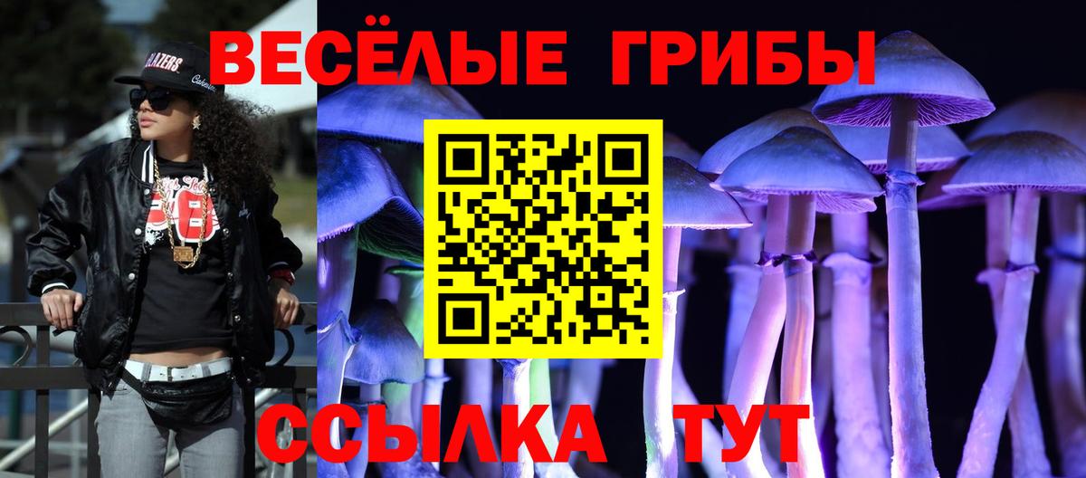 Печора  Псилоцибиновые грибы Psilocybe  Вход с VPN 